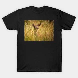 Doe Looks on From Grasses T-Shirt